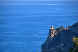 DSC05704 -1_t.jpg